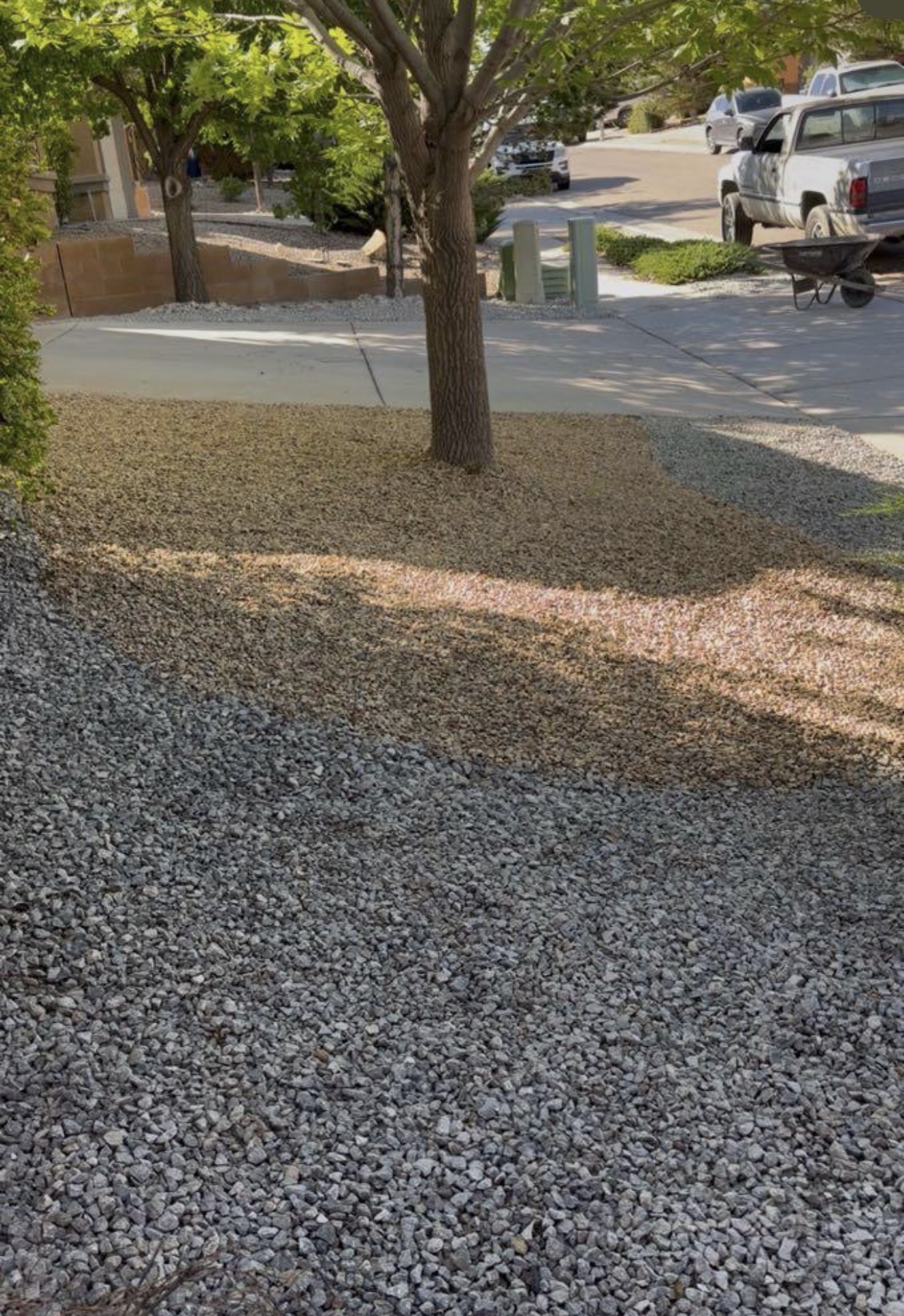 Fresh gravel spread around a front-yard tree